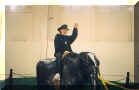 My sister Loni Nicole was bucked off!!