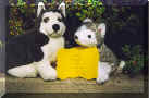 You are cordially invited to view pictures from the wedding of Patrick and Slush, performed by Oregon Supreme Court Judge Robert Durham, and held at the Oregon Governor's official residence, Mahonai Hall in Salem Oregon.